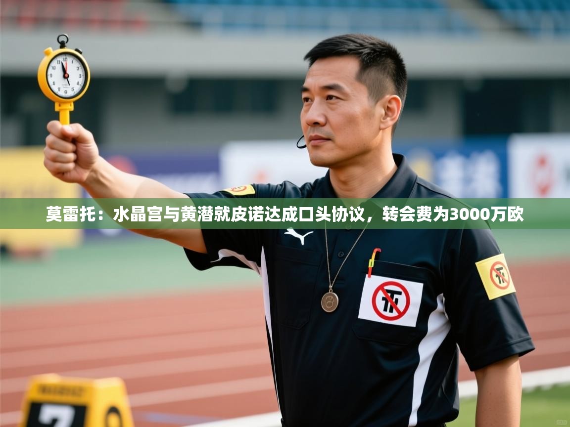 开云体育官方版下载-莫雷托:水晶宫与黄潜就皮诺达成口头协议,转会费为3000万欧 第3张